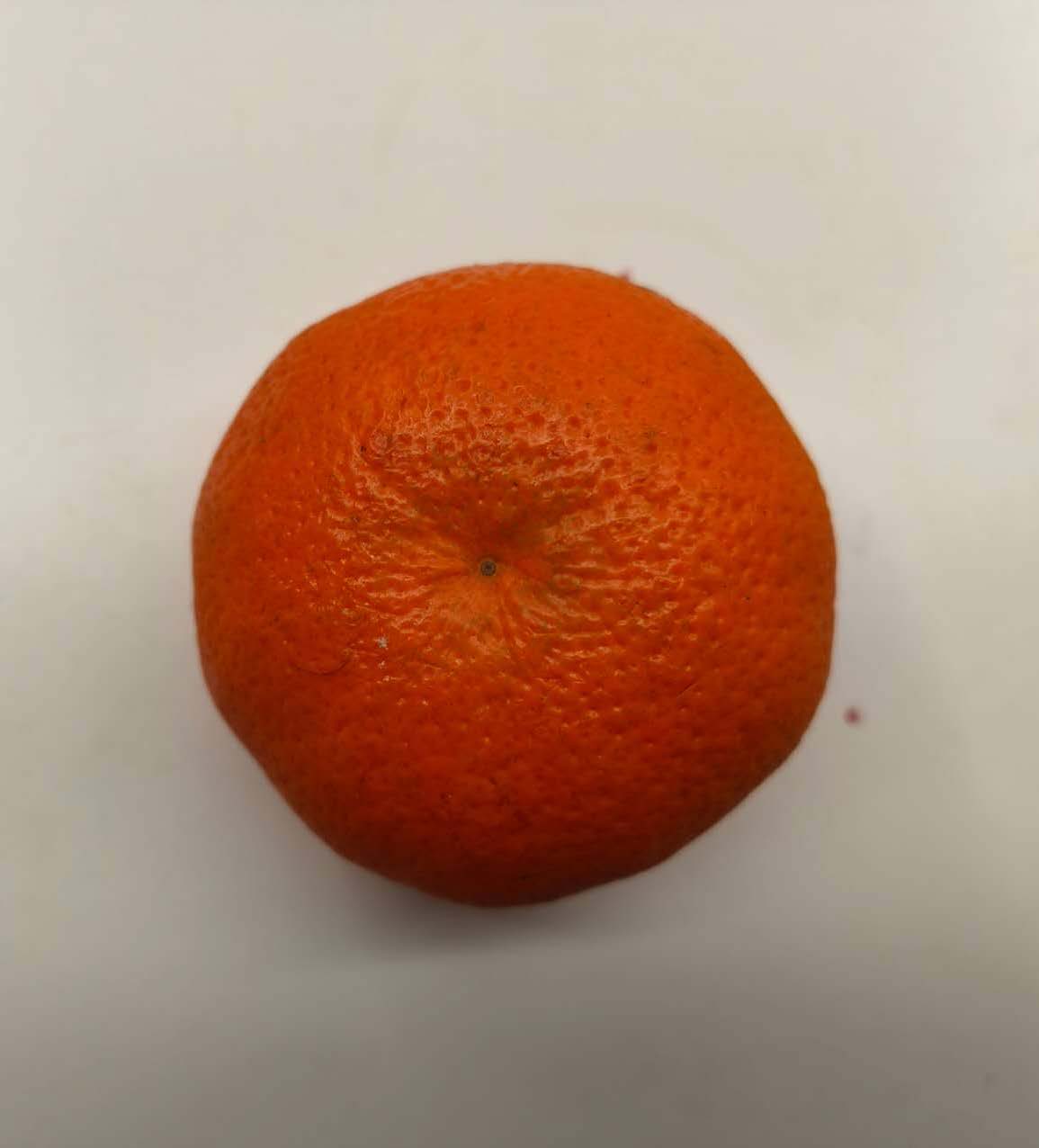 This is a high angle shot image of an organe