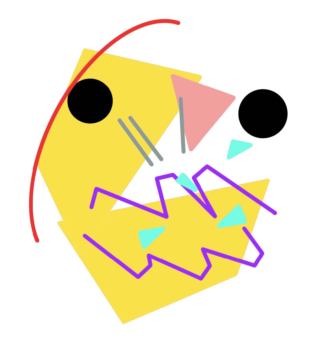 Data selfie visualization #5 in 2D Mirror activity